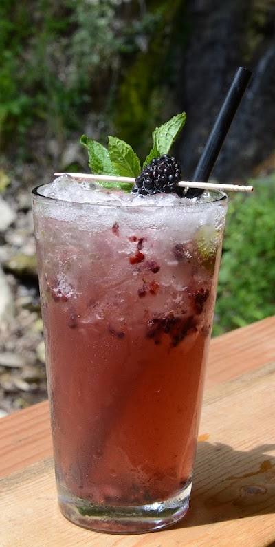 Clifton Terrace Inn photo 4