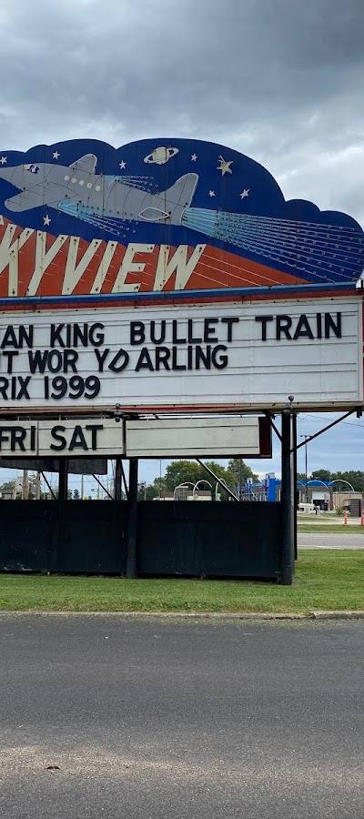 Skyview Drive-In photo 2