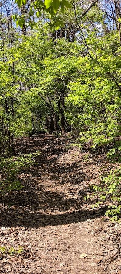 Harry S. Truman Park photo 2