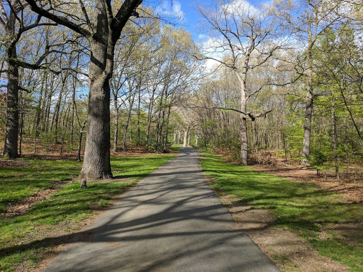 Dorchester Park