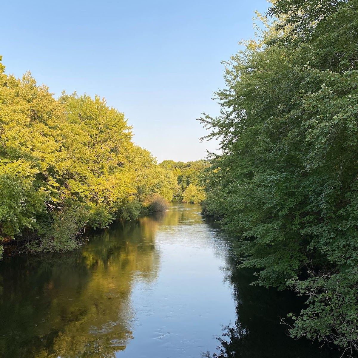 Neponset River Reservation