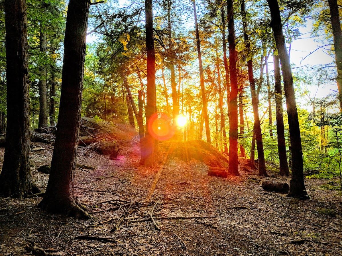 D. Blakely Hoar Sanctuary