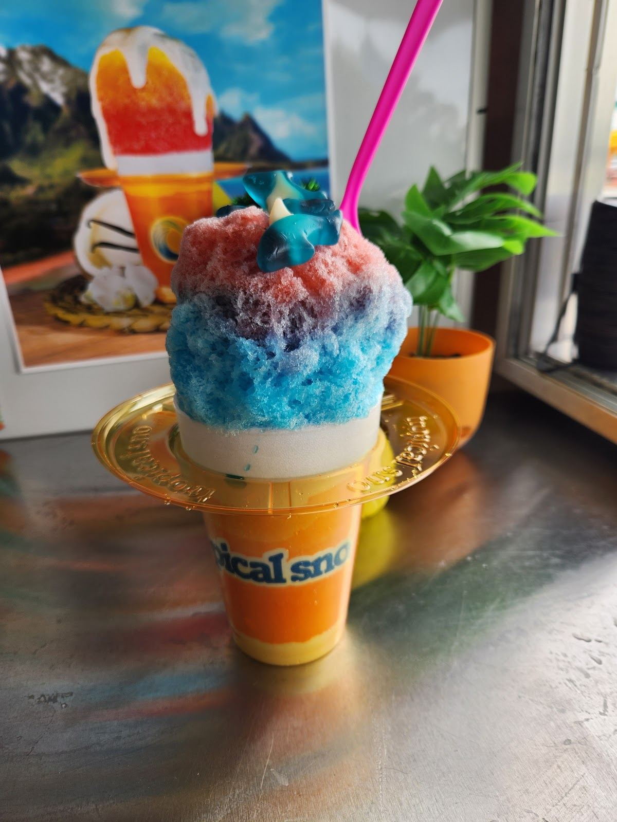 Tropical Sno Festus