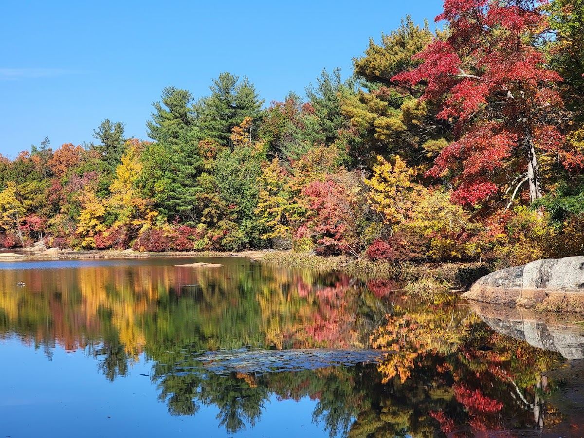 Breakheart Reservation