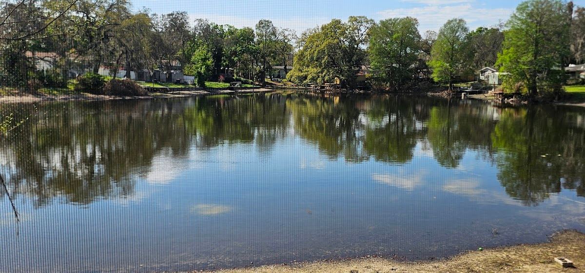 Lake Dormie