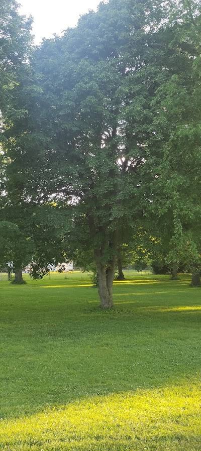Larimore Park photo 2