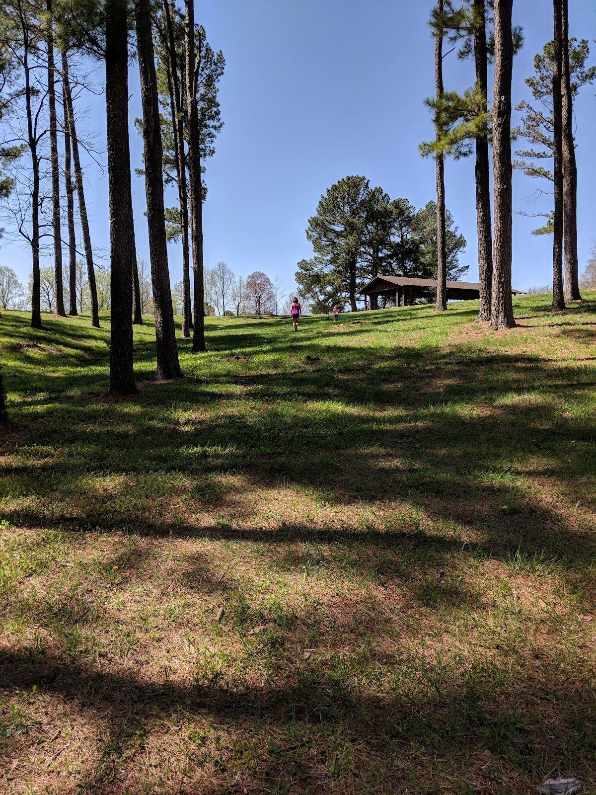 Konarcik Park