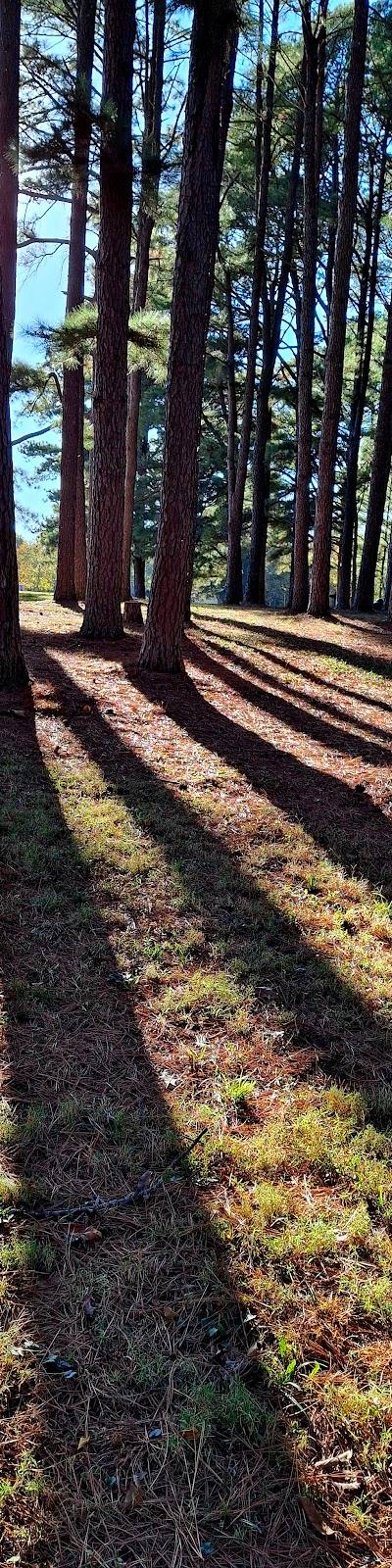 Konarcik Park photo 2
