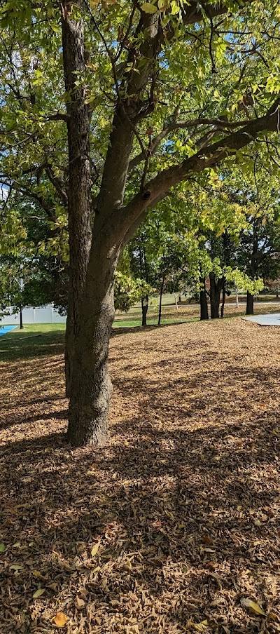 Knaust Park photo 3