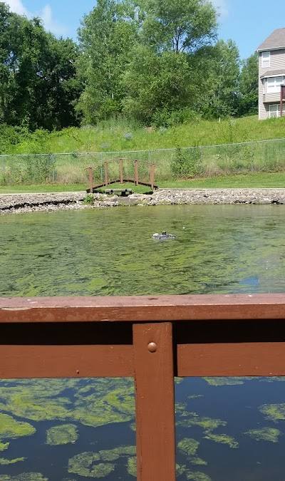 Al Nicolai Park photo 2
