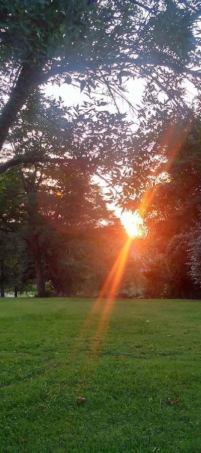 Al Nicolai Park photo 3