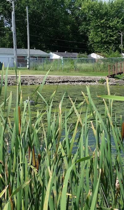 Al Nicolai Park photo 4