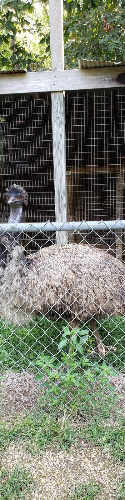 Riverside Wildlife Center photo 2