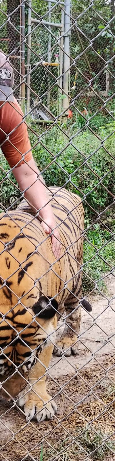 Riverside Wildlife Center photo 3