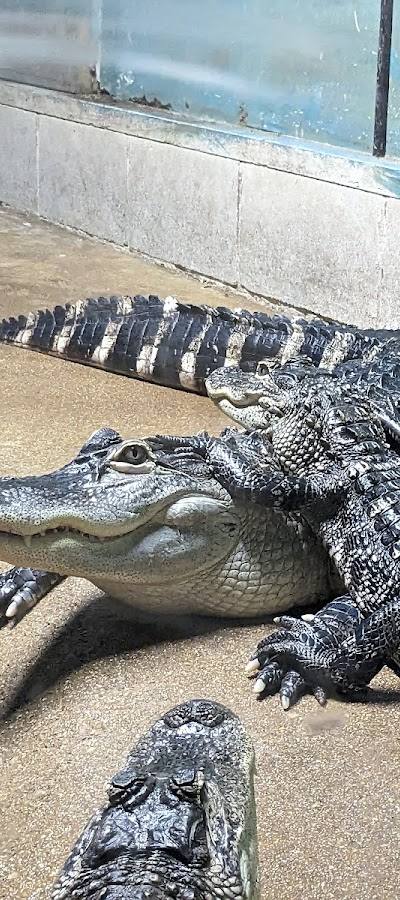 Riverside Wildlife Center photo 4
