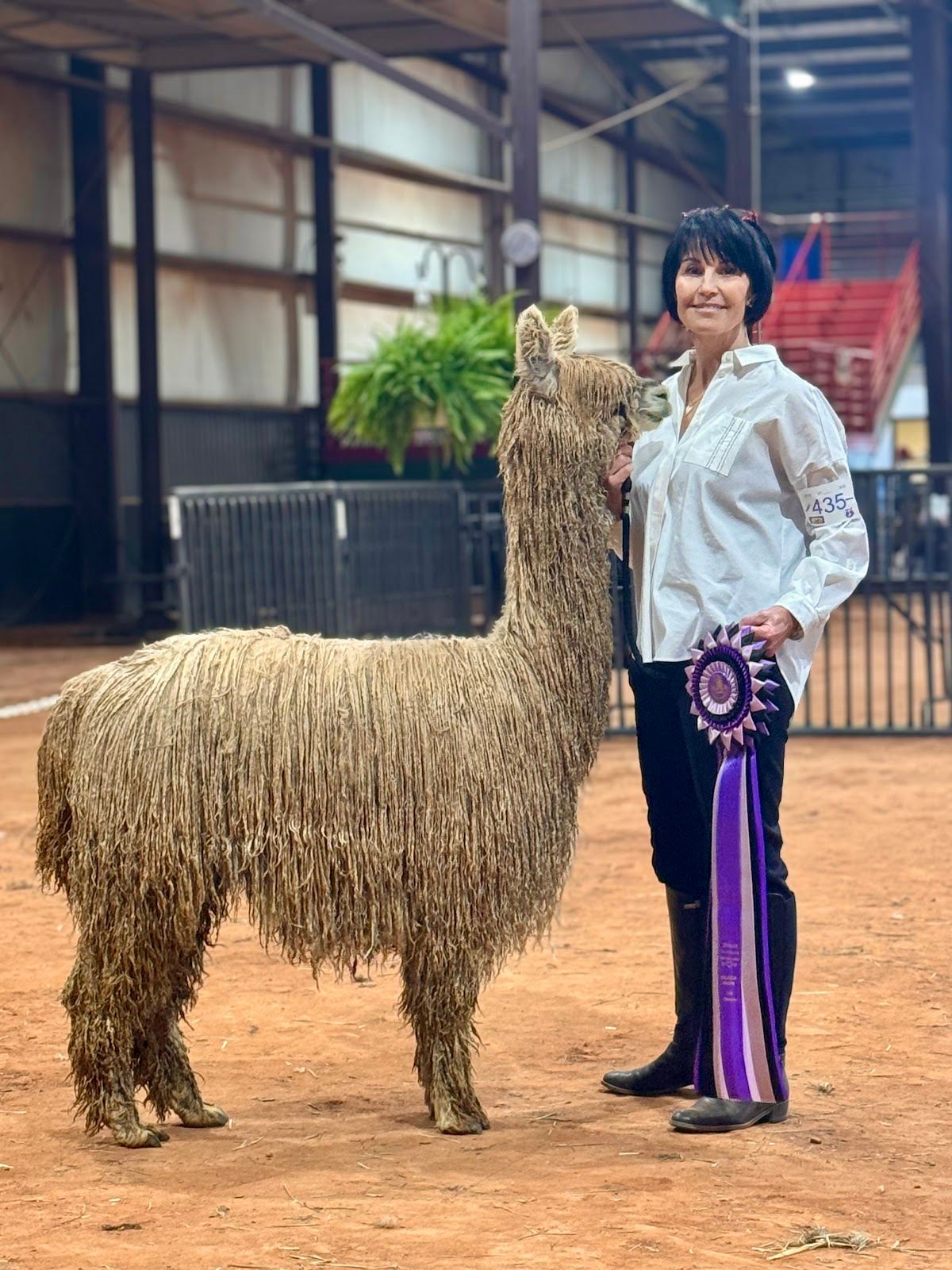 Suri & Company Alpaca Farm