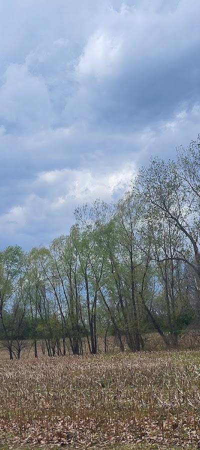 Pershall Park photo 3