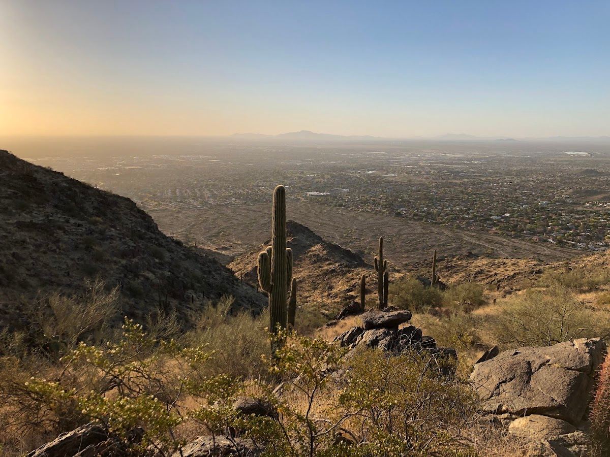 Observation Point