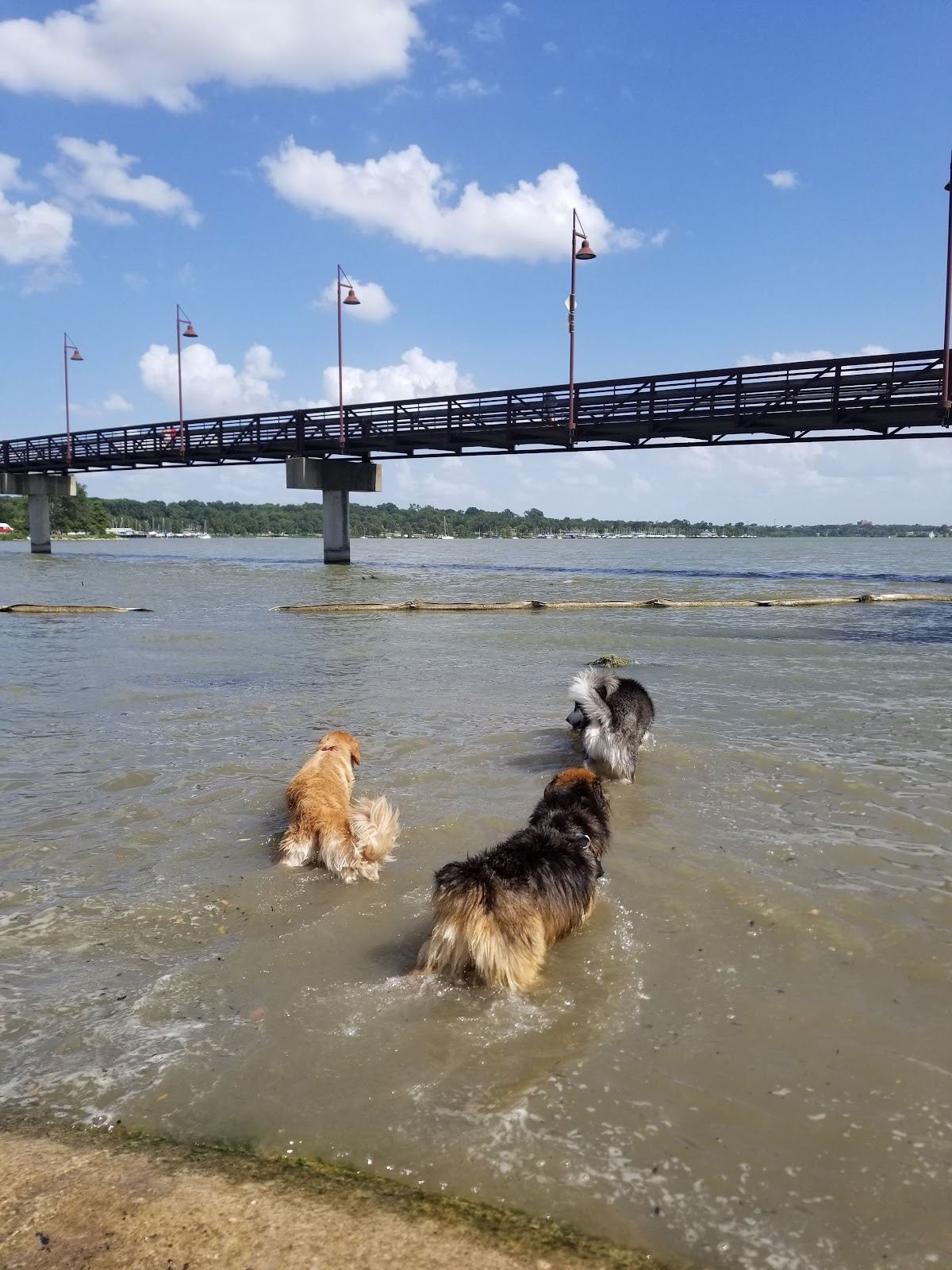 White Rock Lake Dog Park