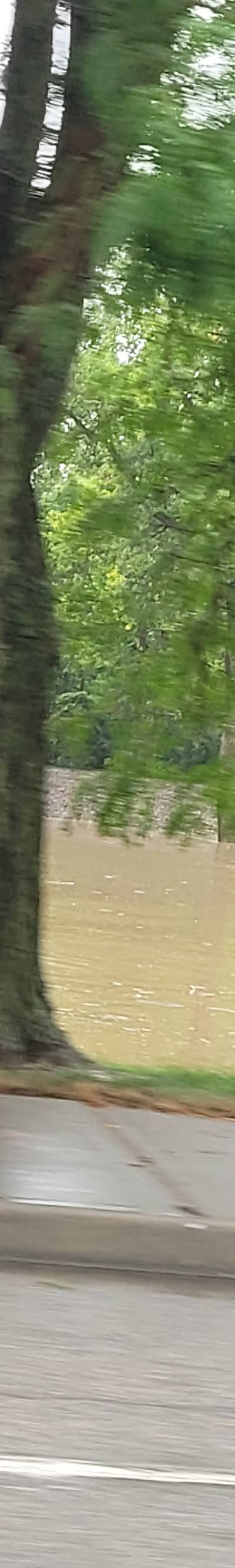 Hough Park Parking Lot photo 3