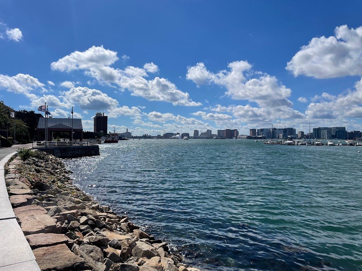 Massport Harborwalk Park