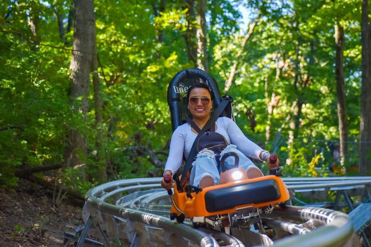 Aerie's Alpine Coaster