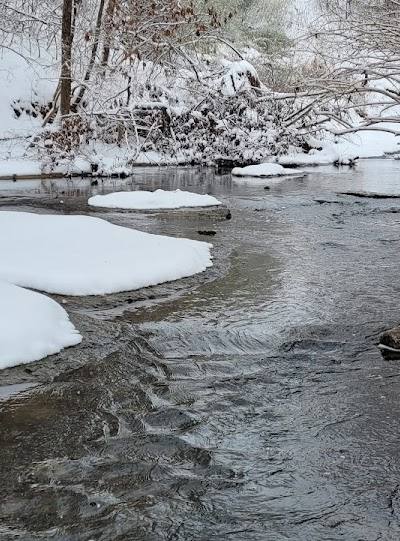 Ogles Creek Park photo 4