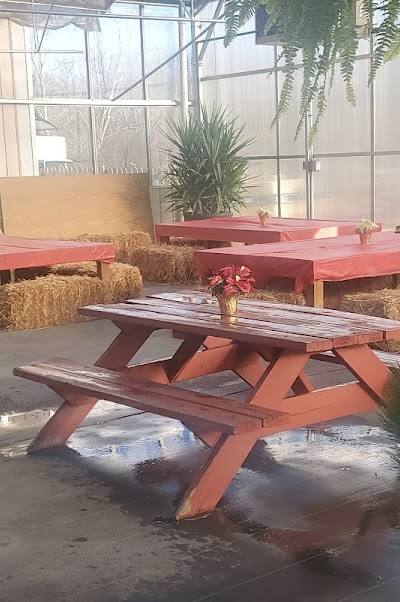 Thies Farm & Greenhouses Inc photo 2