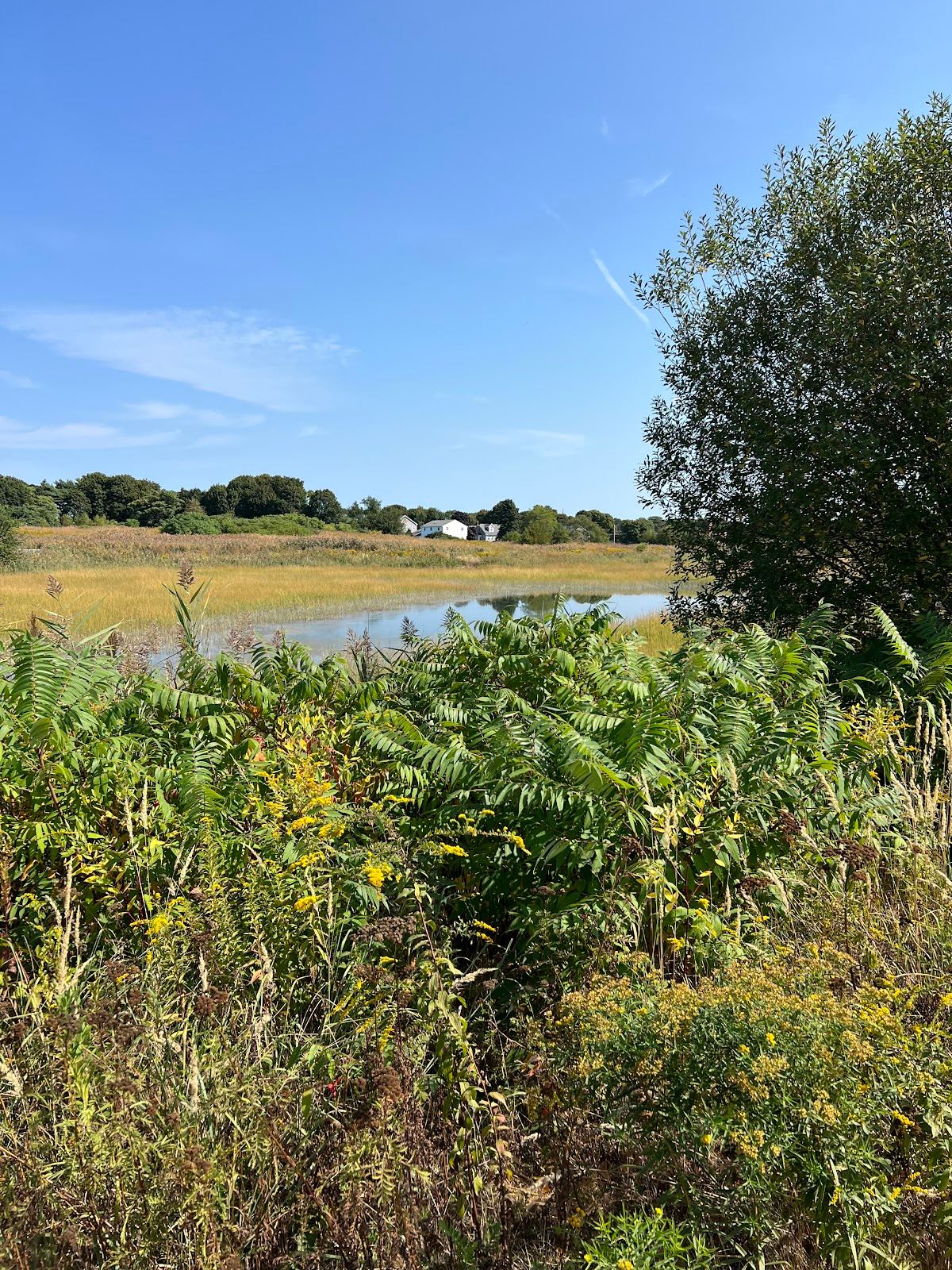 Passanageset Park at Broad Meadows Marsh