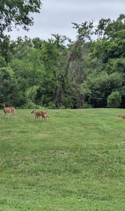 Jefferson Barracks Park photo 4