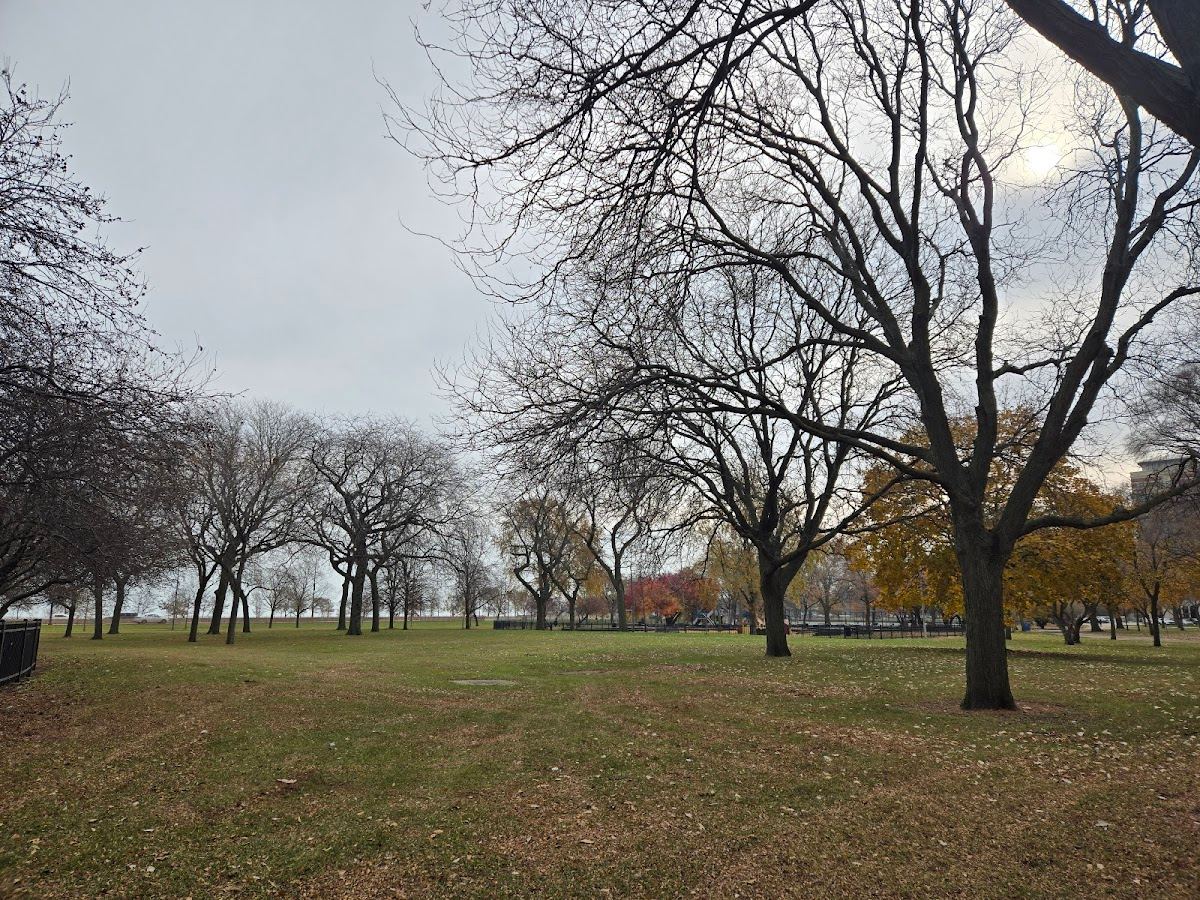 Harold Washington Park