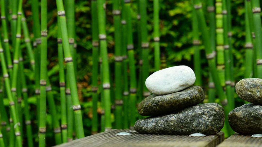 Bamboo Creek Spa