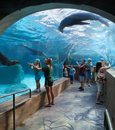 Saint Louis Zoo photo 2