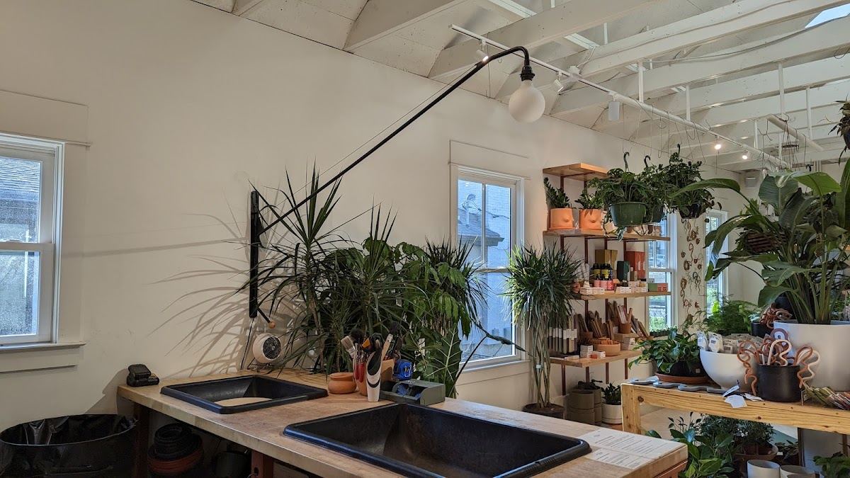 Bellwood Coffee - EAV