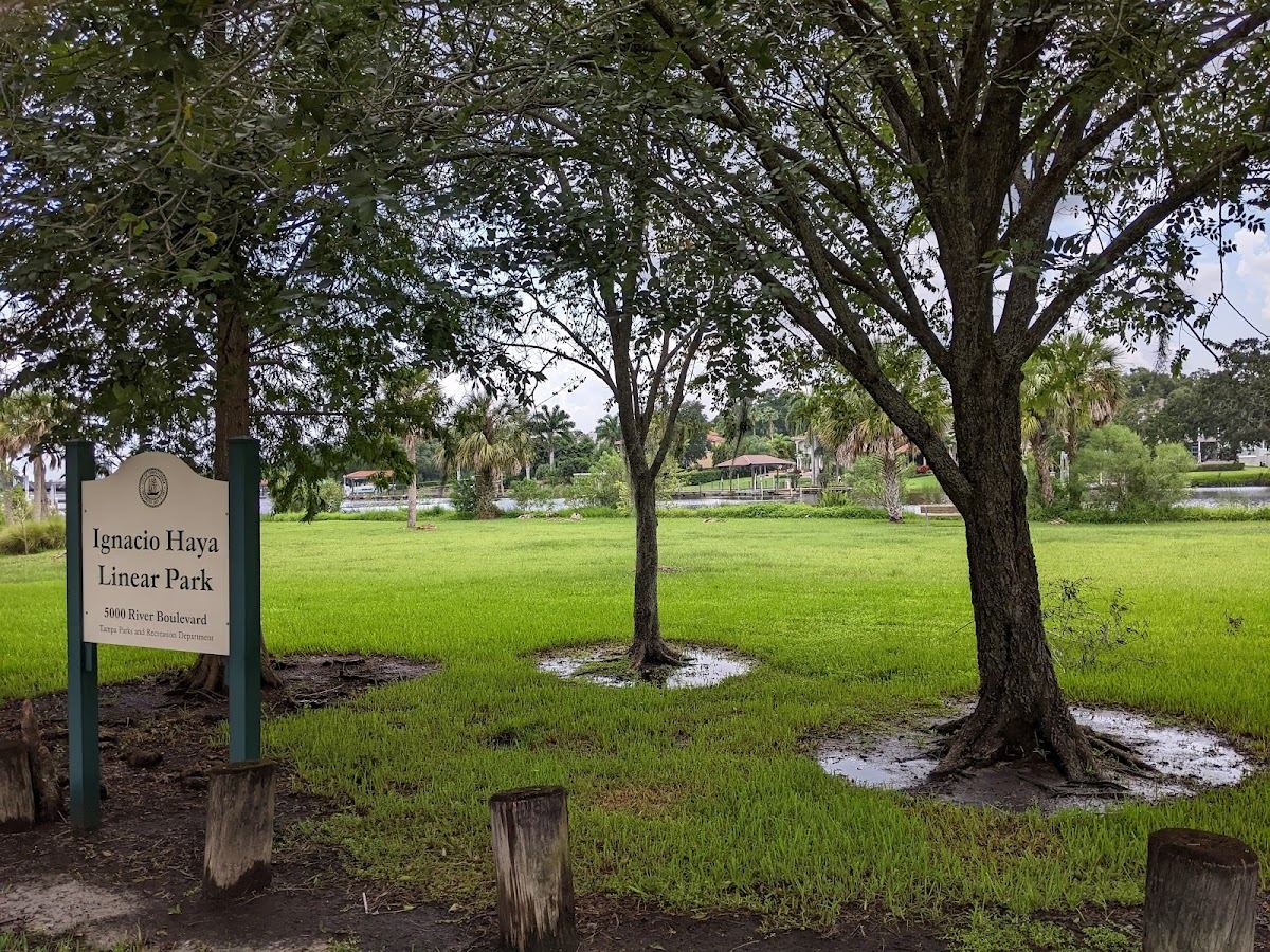 Ignacio Haya Linear Park
