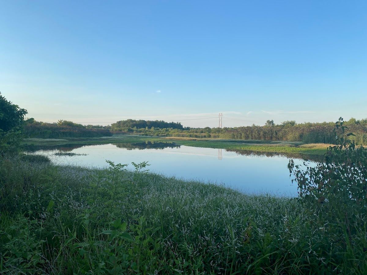 Silver Creek Preserve