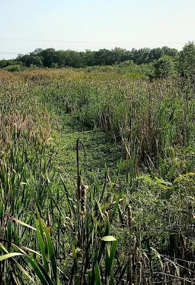 Silver Creek Preserve photo 2