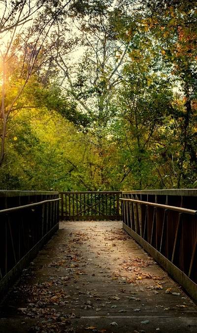 Silver Creek Preserve photo 4