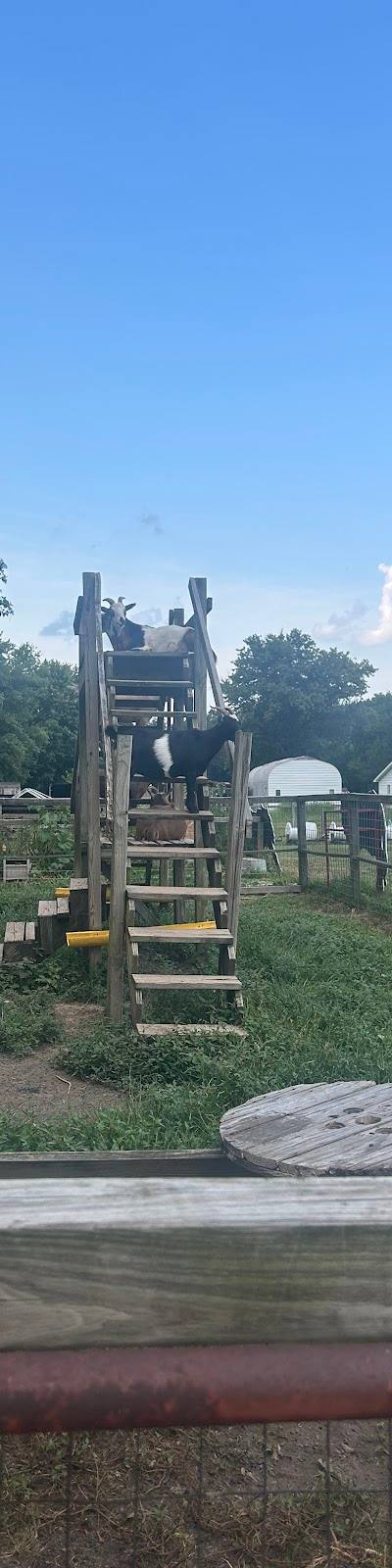 Boonies Farm photo 4