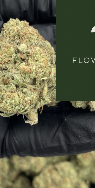 ‘a Flower Shop photo 2