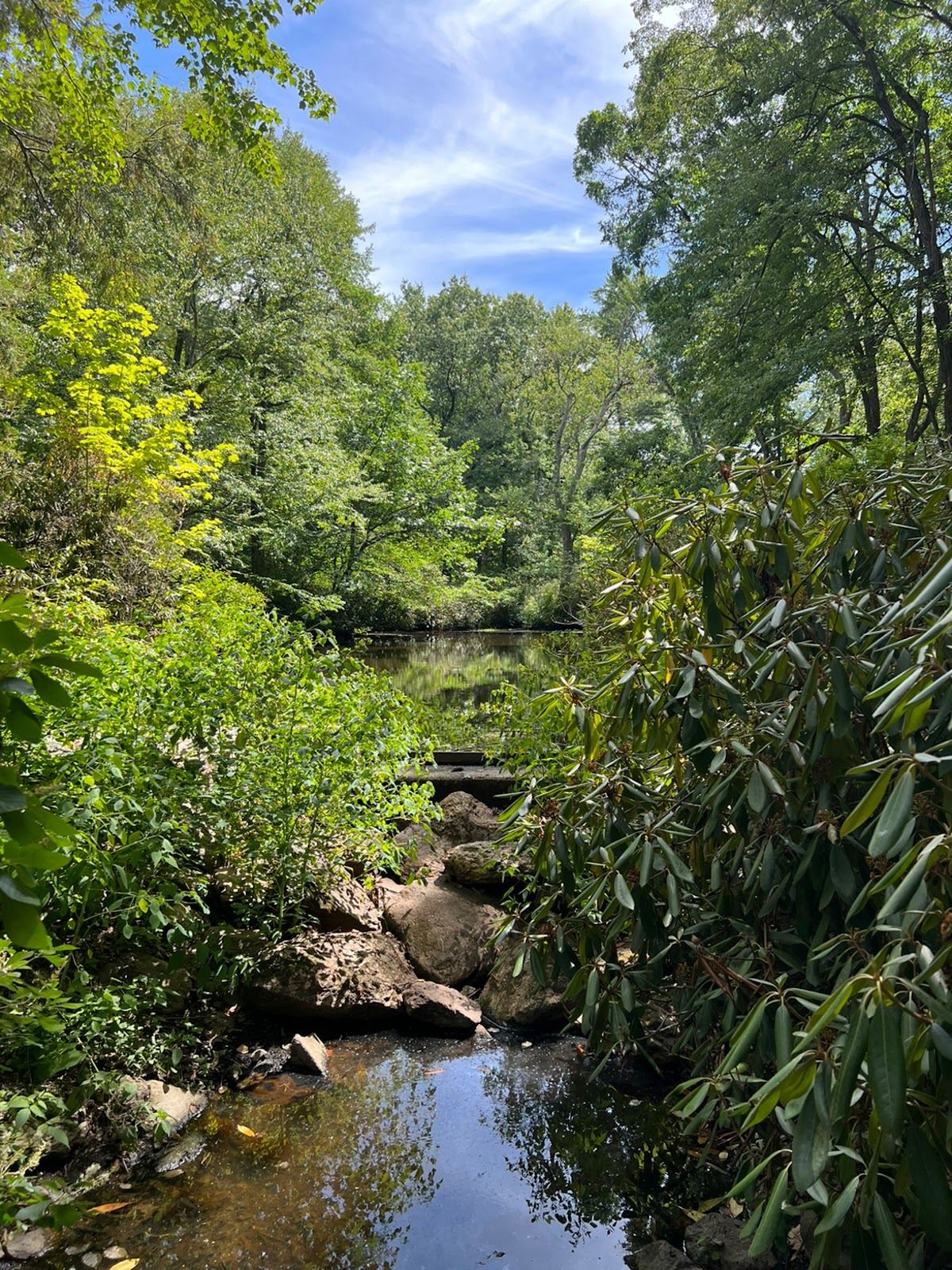 Houghton Garden