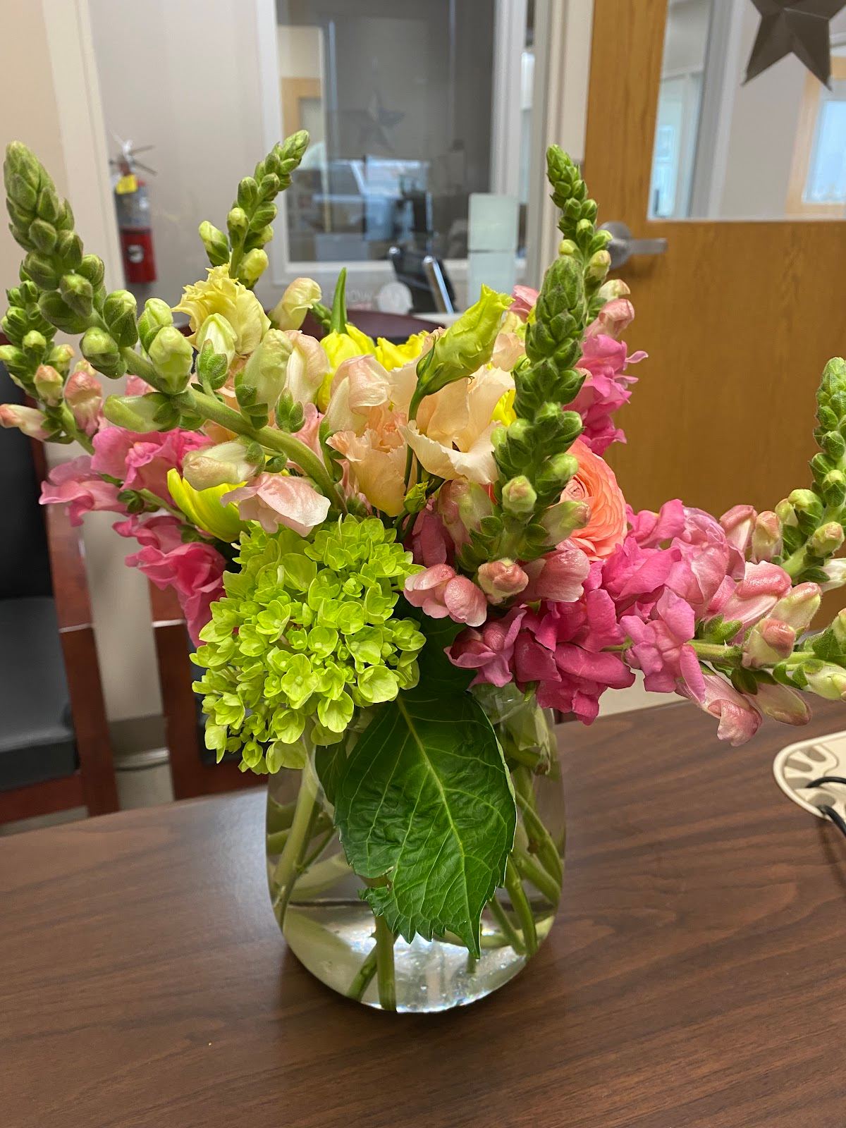 Dr Delphinium Design Center & Corporate Office