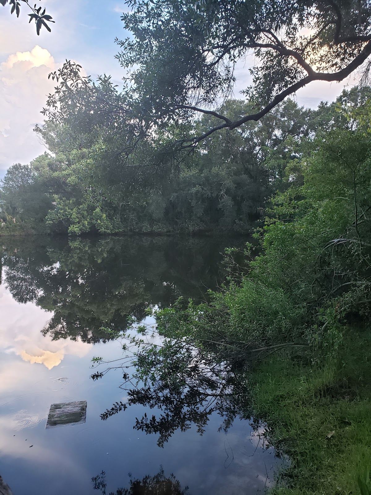 Victoria Pond