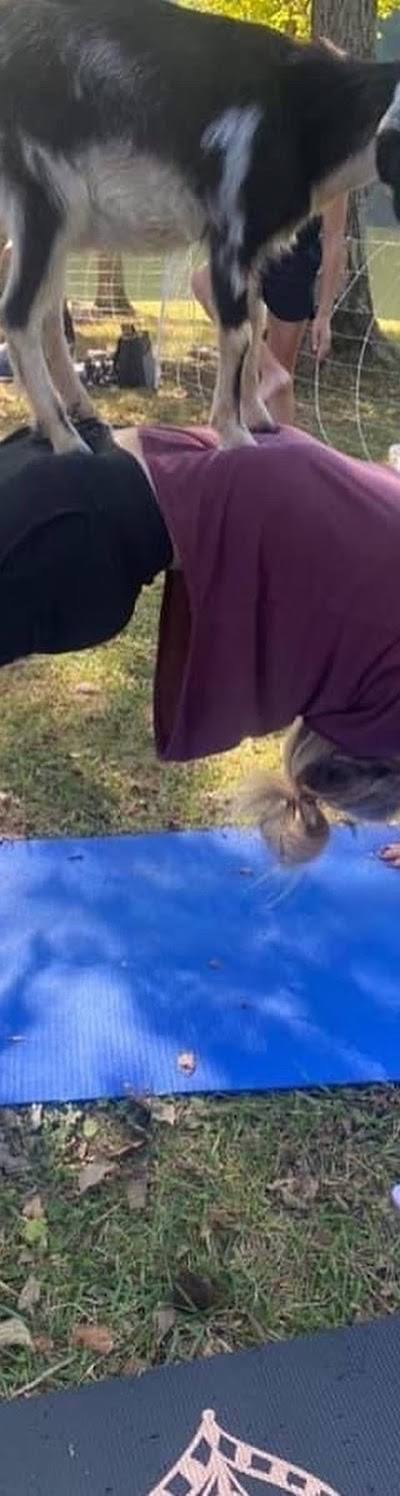 Goat Yoga of Southern IL photo 3