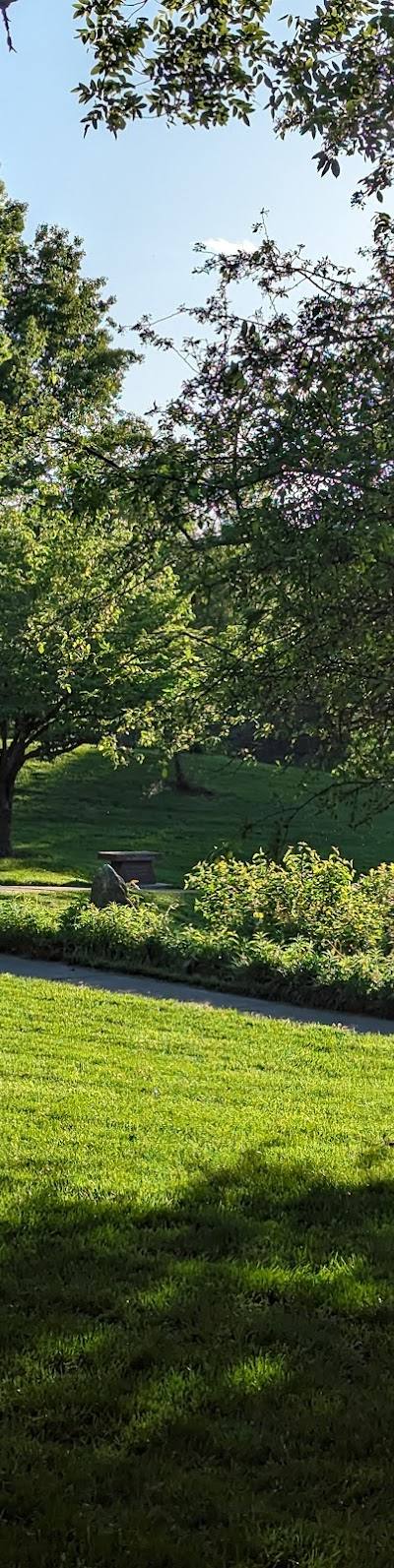 Gordon F. Moore Community Park photo 3