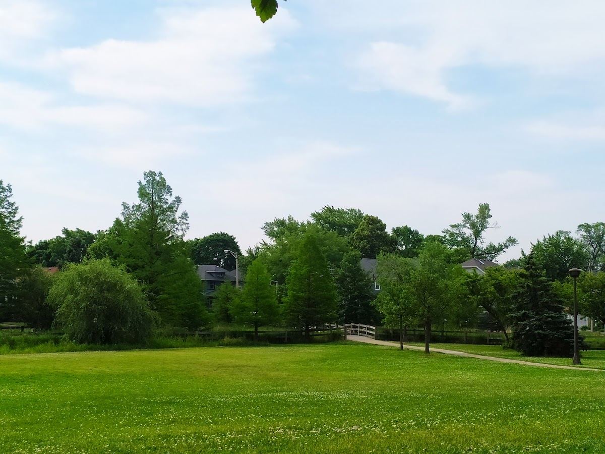 Taylor Park