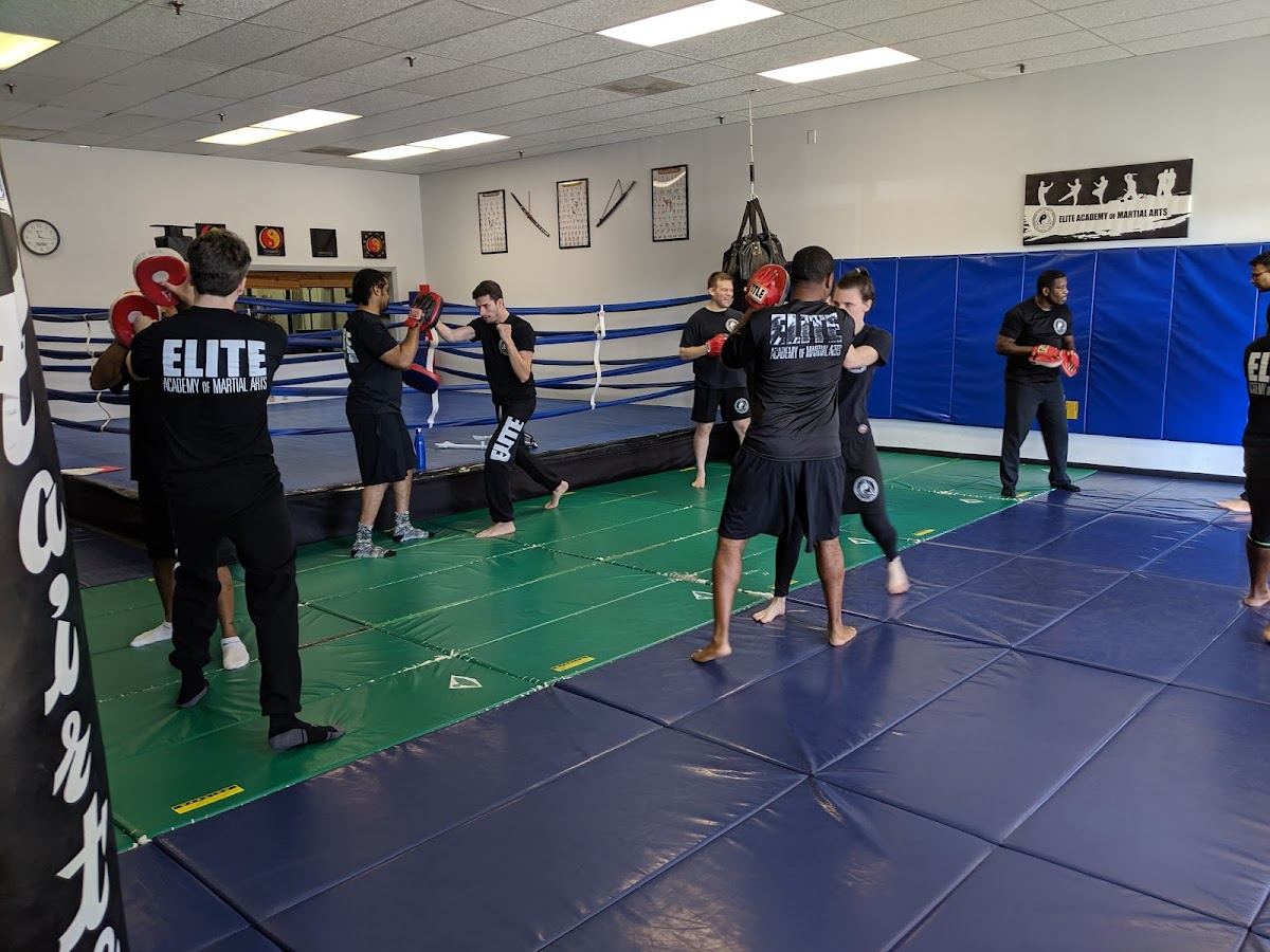 Elite Academy of Martial Arts, est. 2012