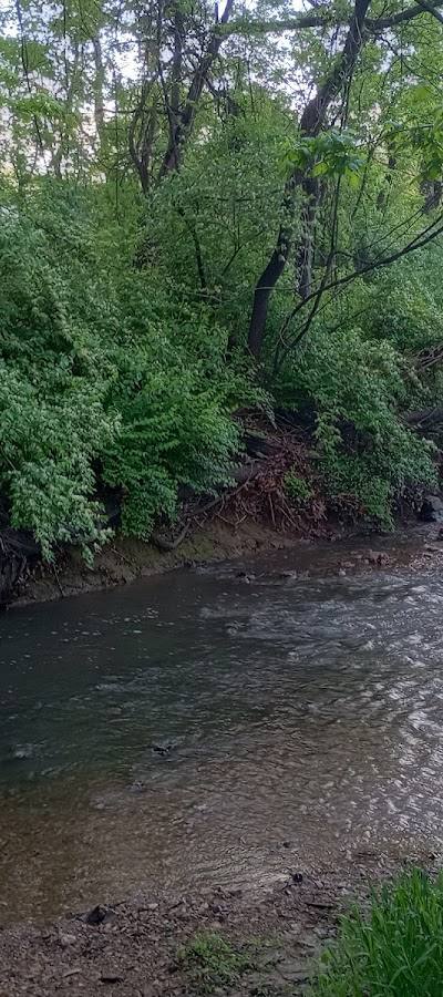 Covenant Park photo 3