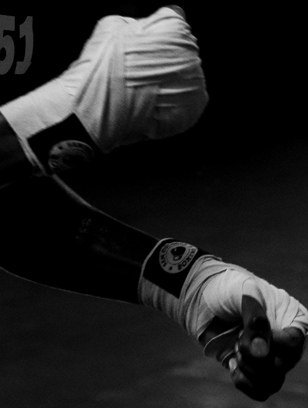 The Proof Boxing and MMA