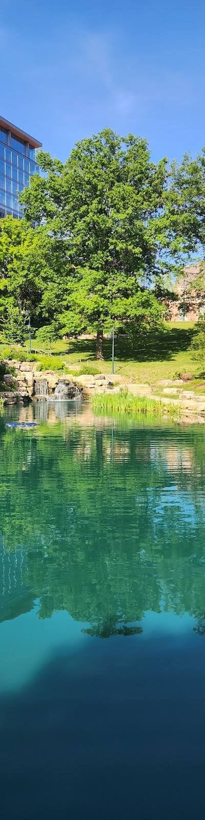 Shaw Park photo 4